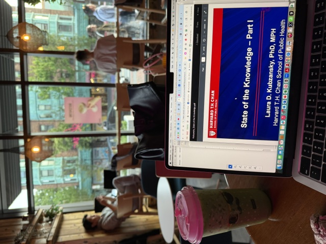 Dr. Tolentino at the Emotional Well-Being and Physical Health Summer Short Course at Harvard, 2025